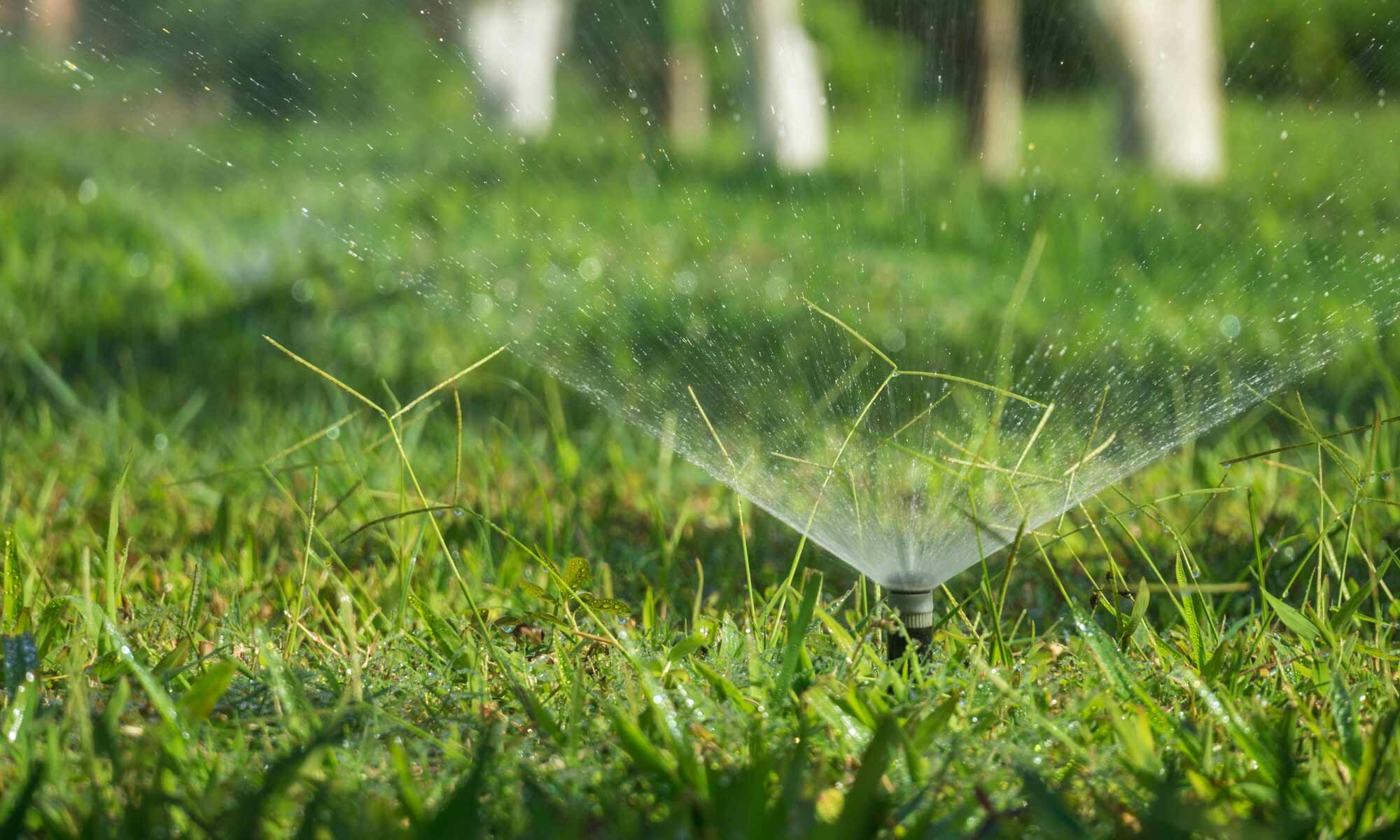 Lawn Sprinklers watering grass
